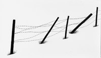 Wintergrafik © Ernst Koschuch