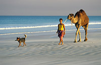 Cable Beach © Frances Andrijich