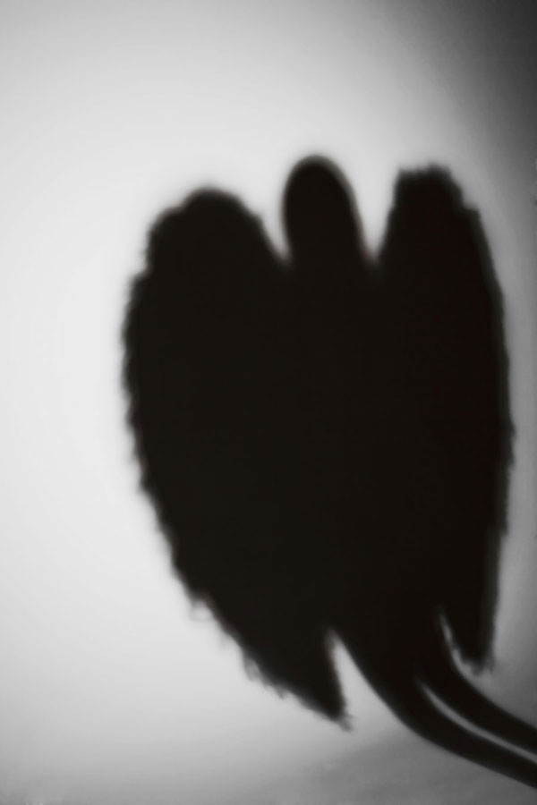 Nenametljivo prisustvo © Damir Tiljak