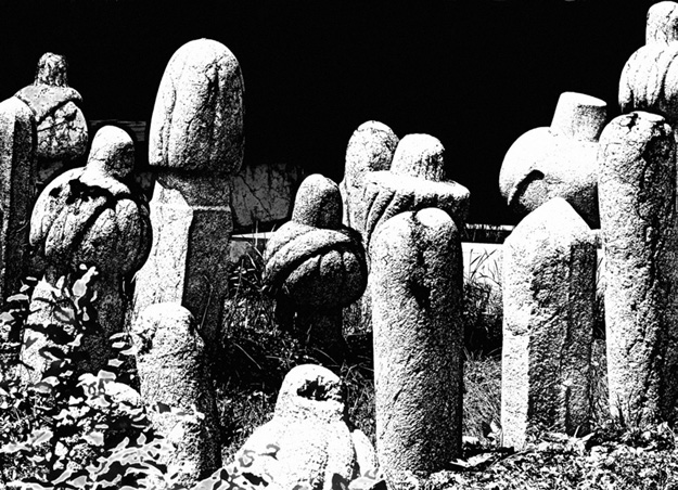 Fotografija Faruk Ibrahimović