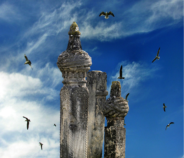 Fotografija Faruk Ibrahimović