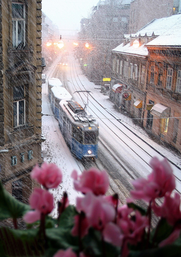 Željko Krčadinac - Pogled s mog prozora