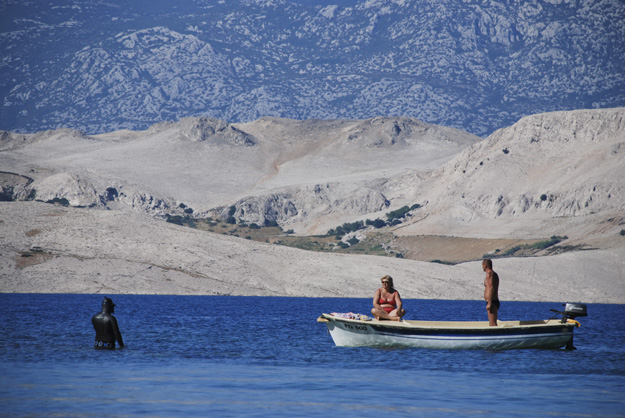 Bliski susreti treće vrste © Ivana Fištrek