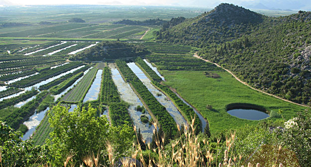 Opuzen - Delta Neretve © Vinko Šebrek