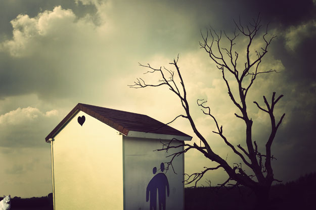 I need a happy cat home © Darija Tripalo