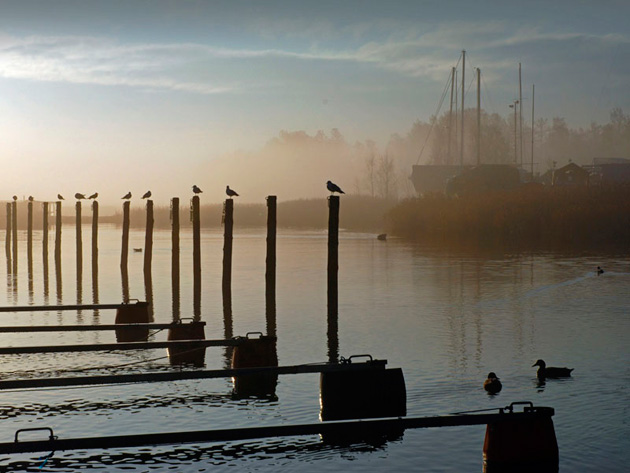 Vesa Jakkula - Autumn