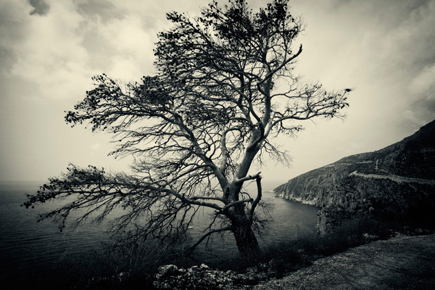 Ines Lojna Funtak – Ostaci života