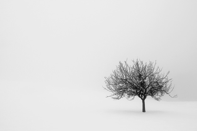 Zvonko Strmšek - Sam