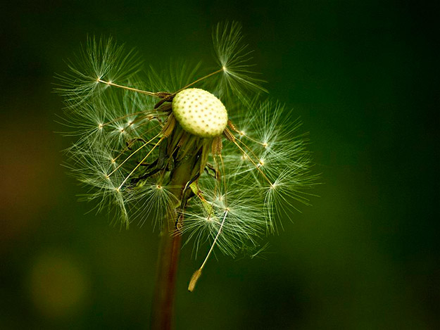 Vesna Špoljar - izložba fotografija Tajne